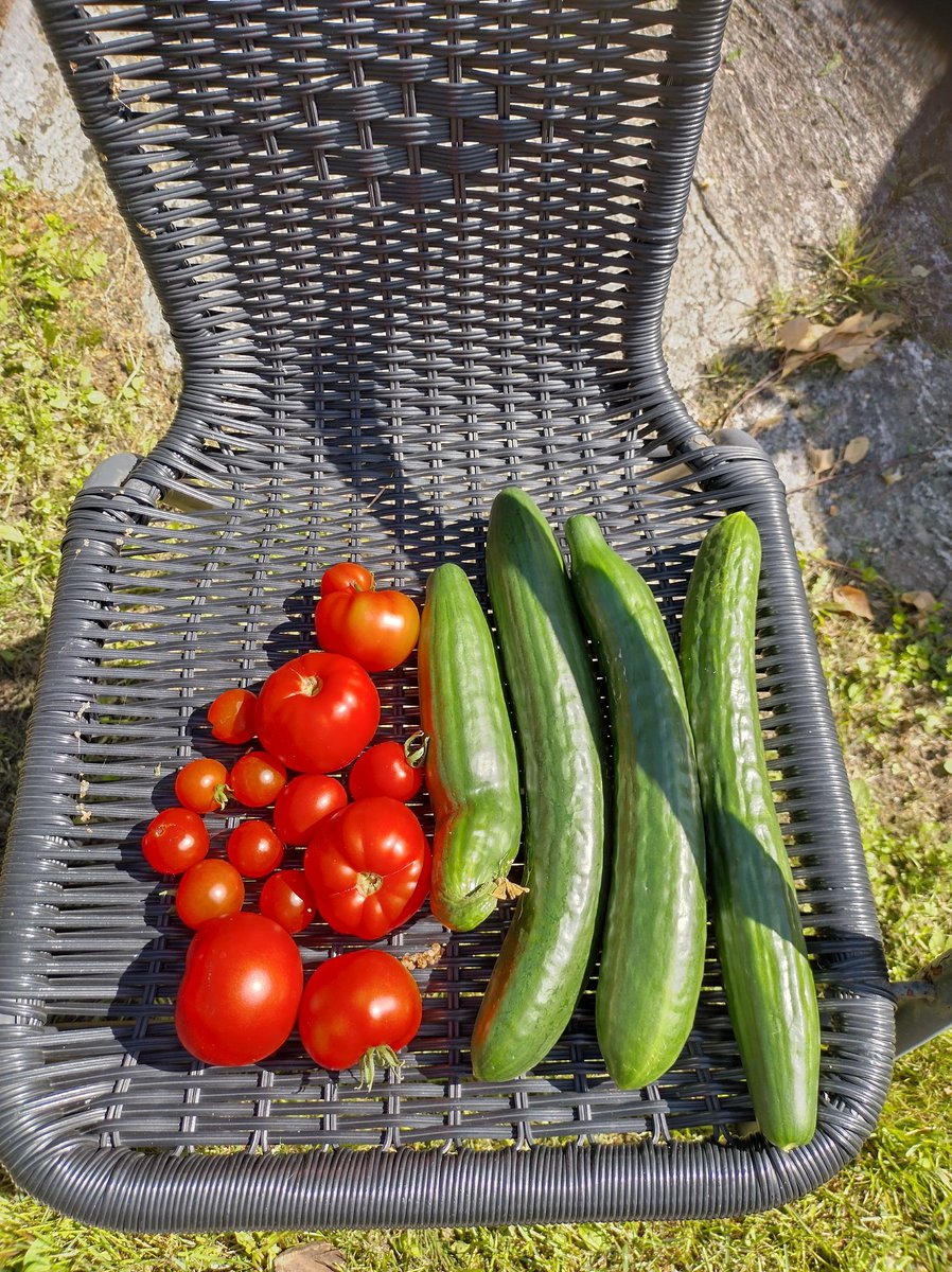 EricaJansson4's tweet photo. Aamun saldo 😋 https://t.co/tBTd6N6yBk