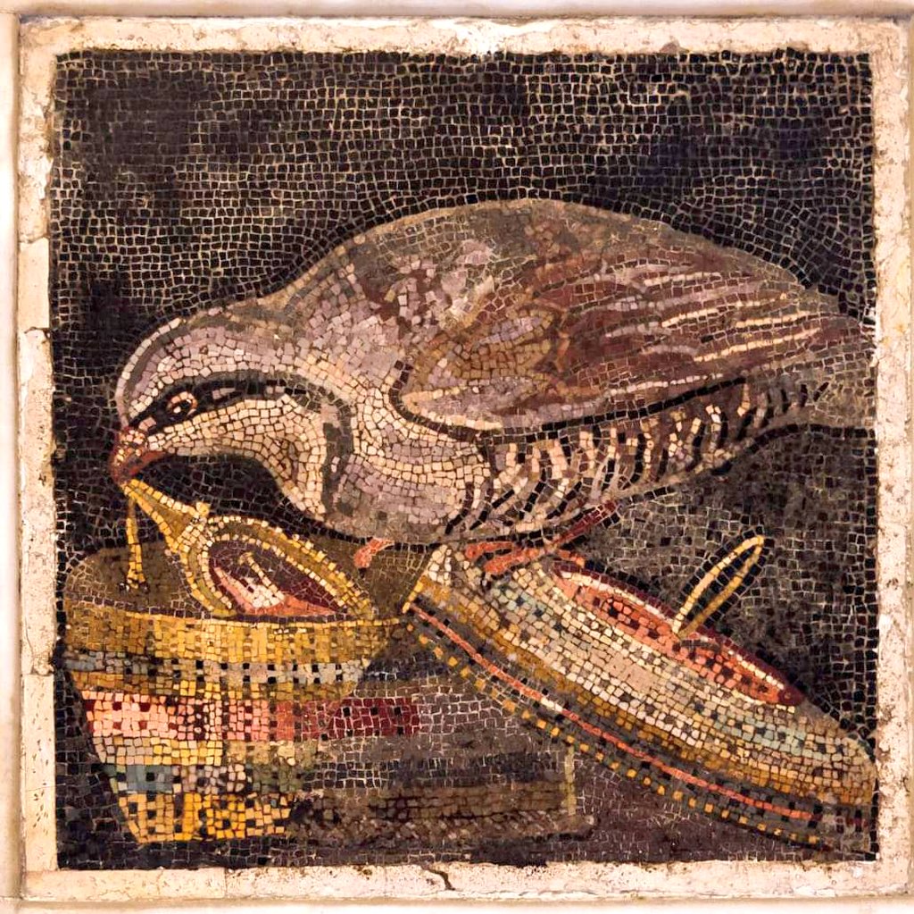 #MosaicMonday
Mosaic of the thief partridge, from House of the Labyrinth, #Pompeii. Now on display at the Naples Archaeological Museum, #Italy.
#ancient #art #history #birds
