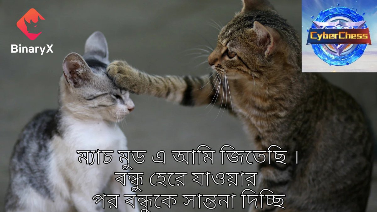 Four_Bengali's tweet image. আমি যখন জিতি ম্যাচে 🥴
বন্ধু হেরে যায় 
#CyberChess 
#Matchmode #BinaryX #BNX #GOLD
