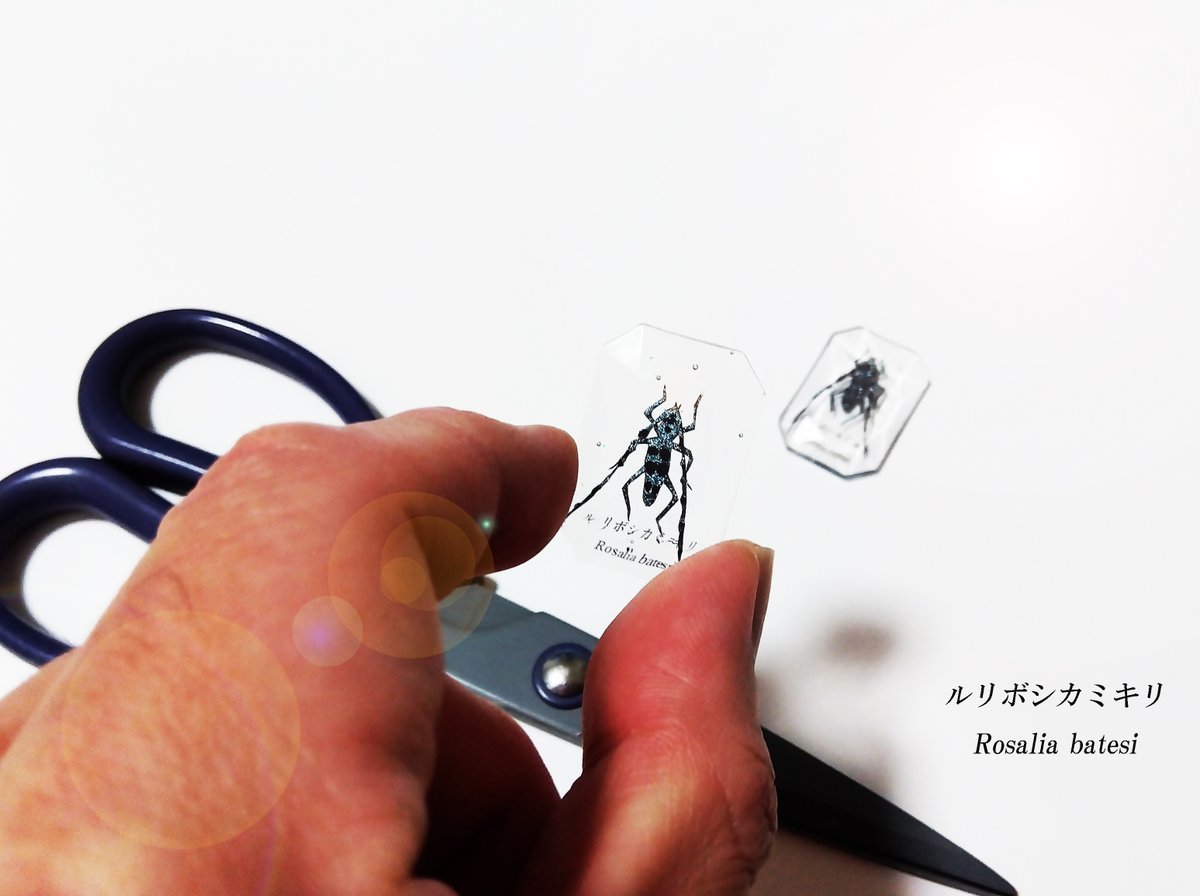 「#シークレット展 在庫限り 以後は自家通販専用の作品も納品してます!  ①ルリボ」|我流切紙人 ✨5/20・21（土日）デザフェスF-290・291✨のイラスト