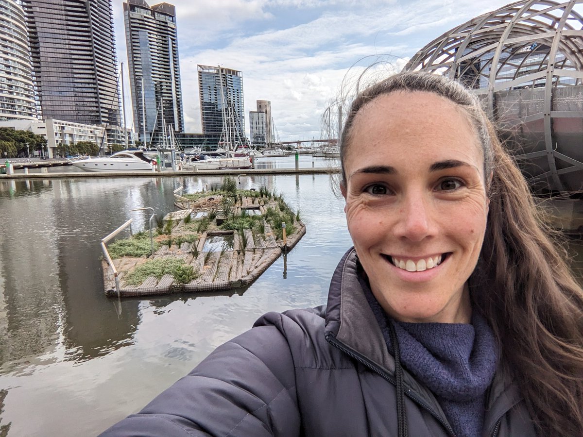 Dr Jacinta Humphrey 🐦🌳🏠 (@humphreyje_) on Twitter photo It's #ScienceWeek and I'm on #BabySwanWatch! We're crossing our fingers that some little cygnets hatch on this #FloatingWetland in the next few weeks. If you see any fluff balls emerge, please grab some photos and let <a href="/kyliesoanes/">Dr. Kylie Soanes</a> and I know! 🦢 <a href="/inaturalist/">iNaturalist</a> #CitizenScience It's #ScienceWeek and I'm on #BabySwanWatch! We're crossing our fingers that some little cygnets hatch on this #FloatingWetland in the next few weeks. If you see any fluff balls emerge, please grab some photos and let <a href="/kyliesoanes/">Dr. Kylie Soanes</a> and I know! 🦢 <a href="/inaturalist/">iNaturalist</a> #CitizenScience