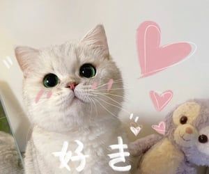 Qonsieur's tweet photo. https://t.co/HfgyLUTVUv