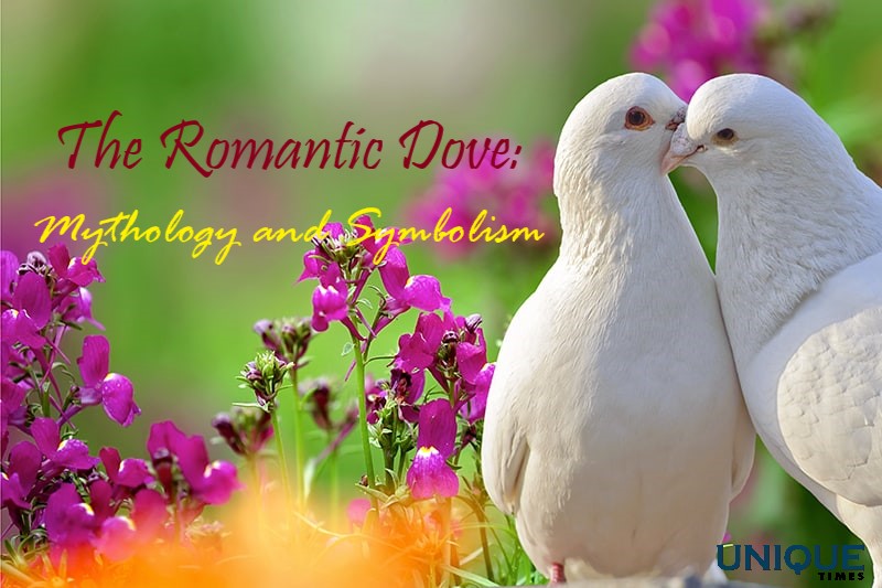 The Romantic Symbolism Of Doves: A Mythological Connection

Know more: uniquetimes.org/the-romantic-s…

#uniquetimes #LatestNews #Aphrodite #romanticemblem #dovesymbolism #loveandaffection