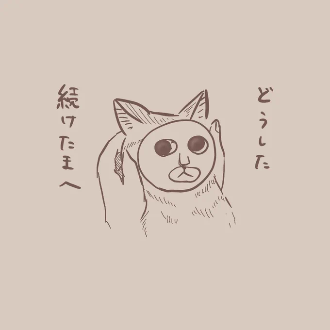 おめめまん丸でかわいいです!!🐱