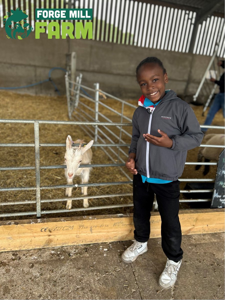 Sandwell Holiday Activities tweet media