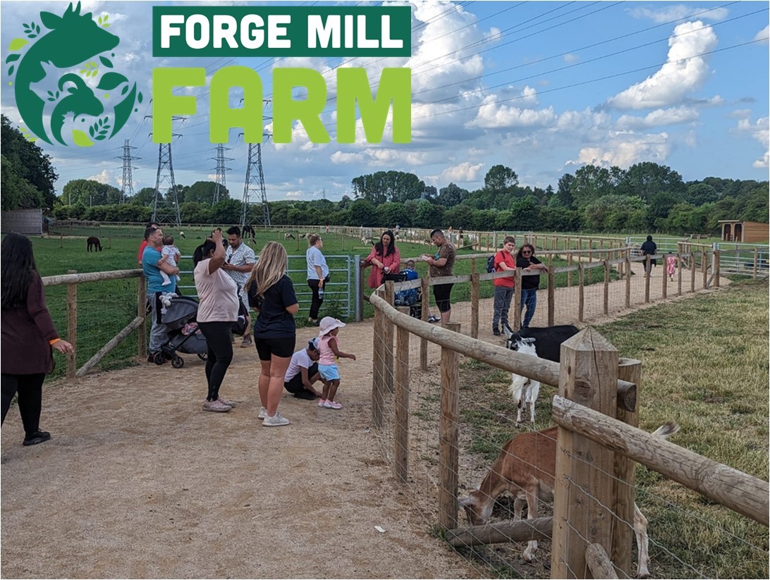 Sandwell Holiday Activities tweet media