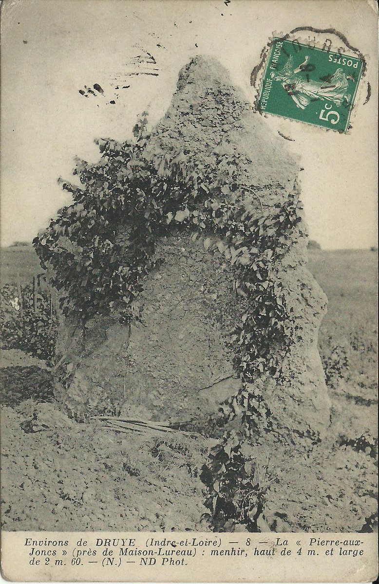 Not available for inclusion in volume 6 this shows the 3.7m tall menhir known as La Pierre aux Joncs (aka Pierre aux Géants) in Villandry (Indre-et-Loire) somewhat overgrown with ivy. Card by Neurdein pre-1914 captioned as (N.) suggesting there is a 2nd card of a different face.