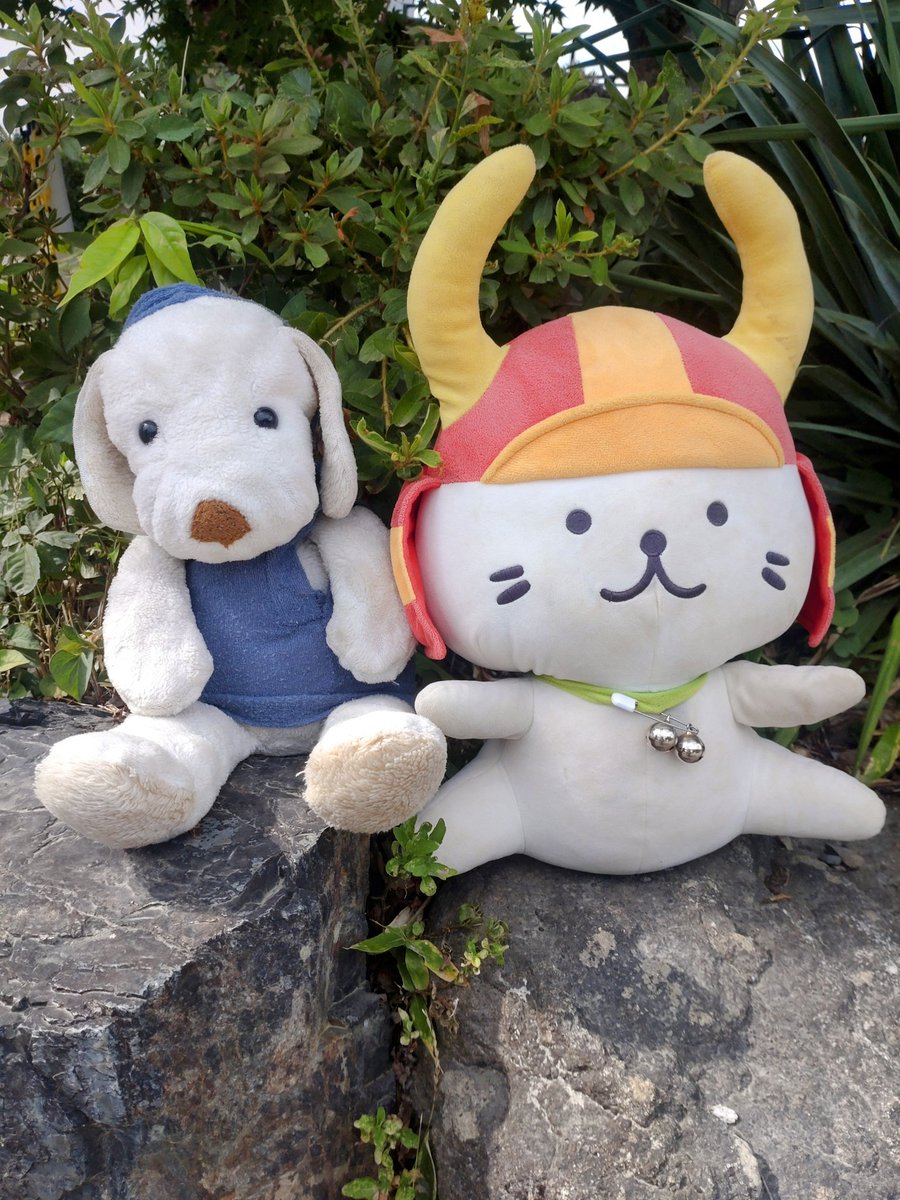 brick_brook's tweet photo. 正解は「彦根城」でした！
ヒコニャンともコラボしてきたよーん♪ https://t.co/AmosetchPX