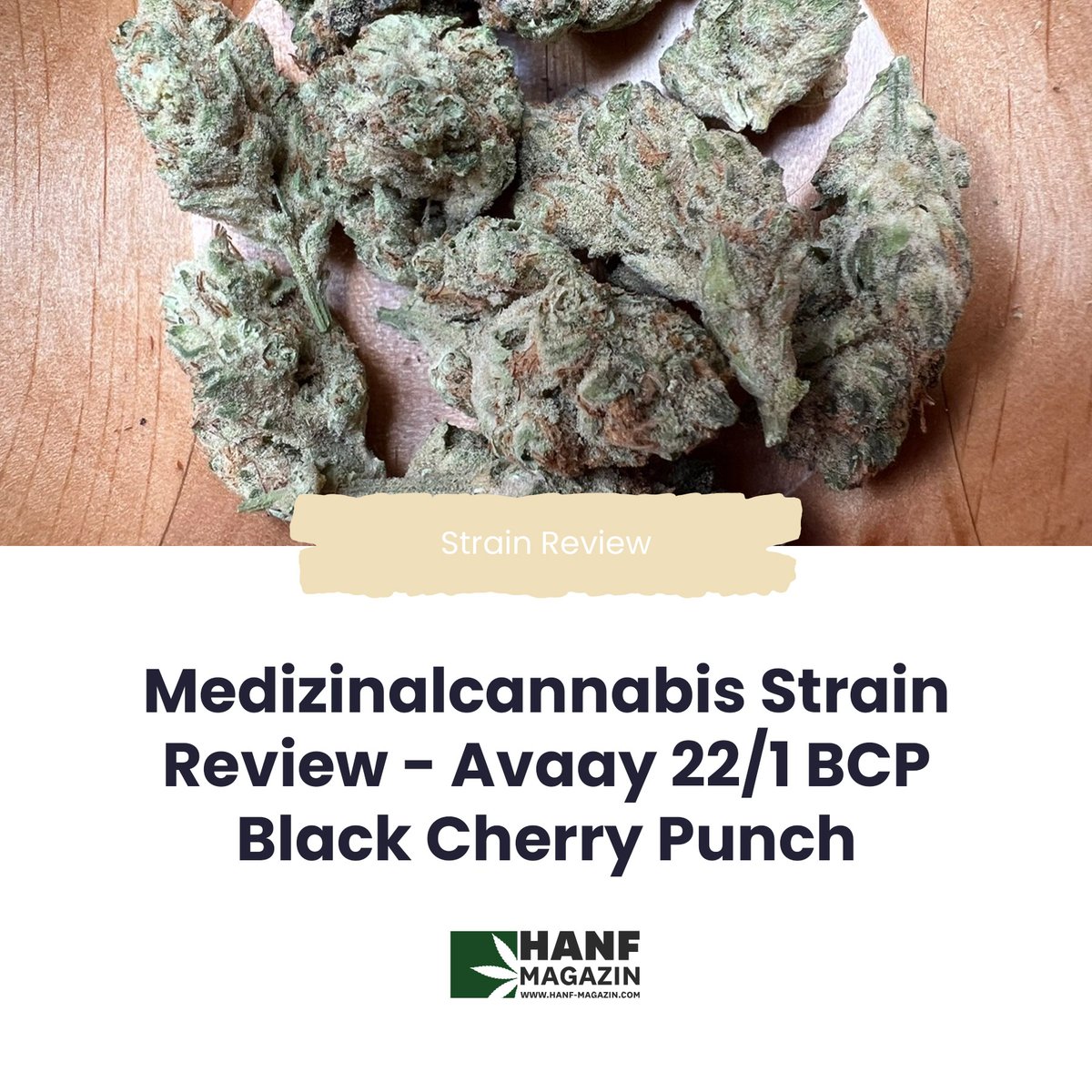 hanfmagazin's tweet photo. Die Medizinalcannabisblüte, die im Folgenden beschrieben wird, wächst in solchen Hybrid-Gewächshäusern: avaay 22/1 BCP: Black Cherry Punch.
➡️ Link zum Strain Review in der Bio!
#hanfmagazin #strain #strainreview #medizinalcannabis #avaay #cannabisblüten https://t.co/ZSYuUUDAK3
