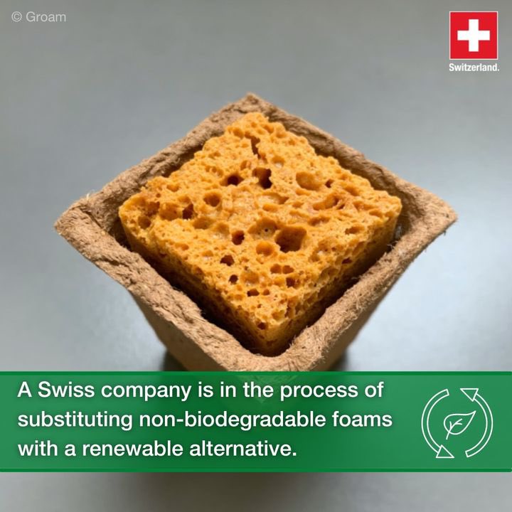 SwissAmbOman's tweet photo. #Foams are everywhere, from insulation to packaging, but most of them are not biodegradable. 

To address this problem, 🇨🇭#Swiss company and @ETH_en spin-off  #Groam has developed and patented a new foaming technology that uses renewable materials. ♻️

#Sustainability https://t.co/wqkzh3C2ej