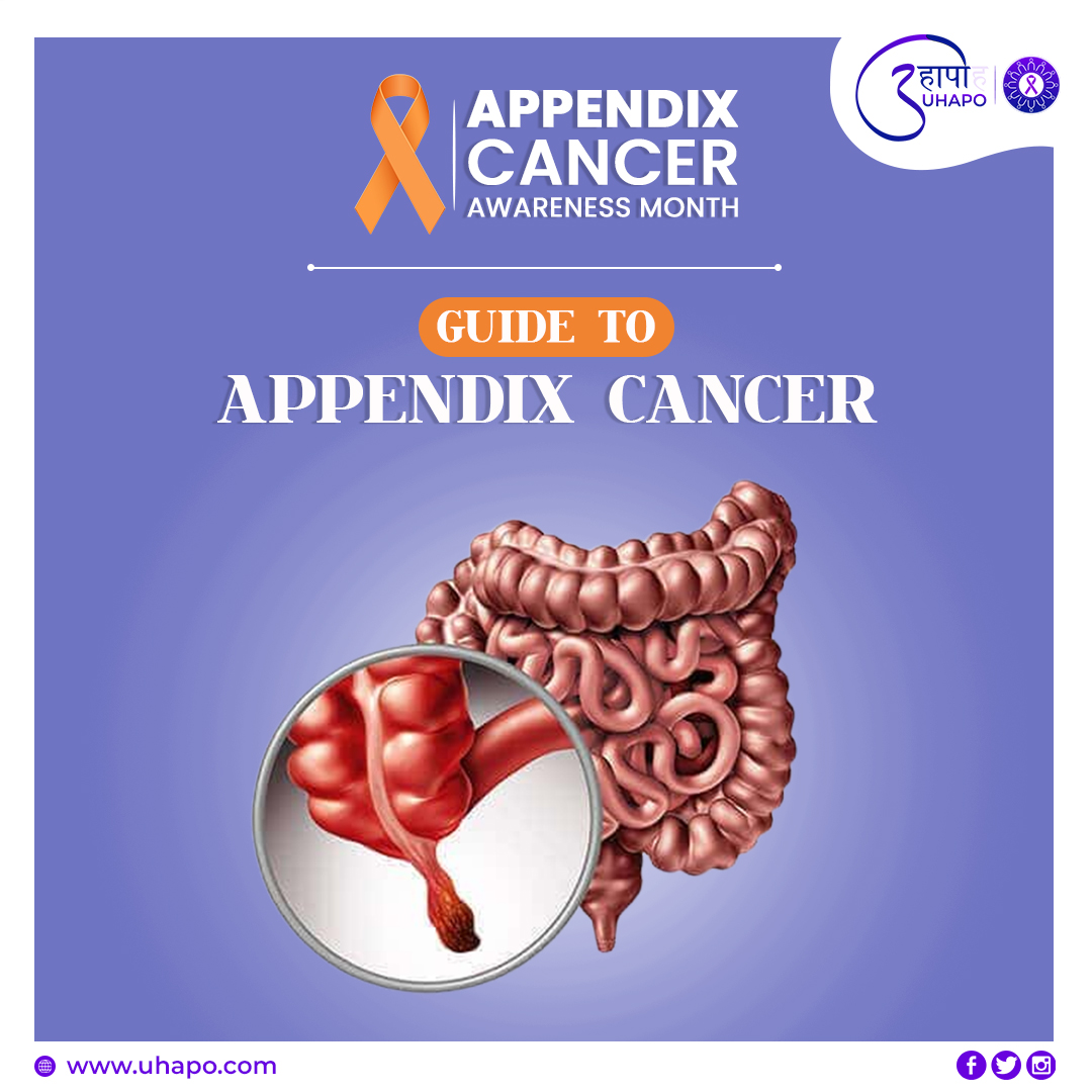 Uhapo1's tweet image. Shining a Light on Appendix Cancer: Uniting for Awareness and Hope with UHAPO
.
.
👉 Read the full blog: bit.ly/3qvV4cy
.
.
#AppendixCancerAwarenessMonth #AppendixCancer #AppendixCancerAwareness #RareCancer #UniteAgainstCancer #UHAPO