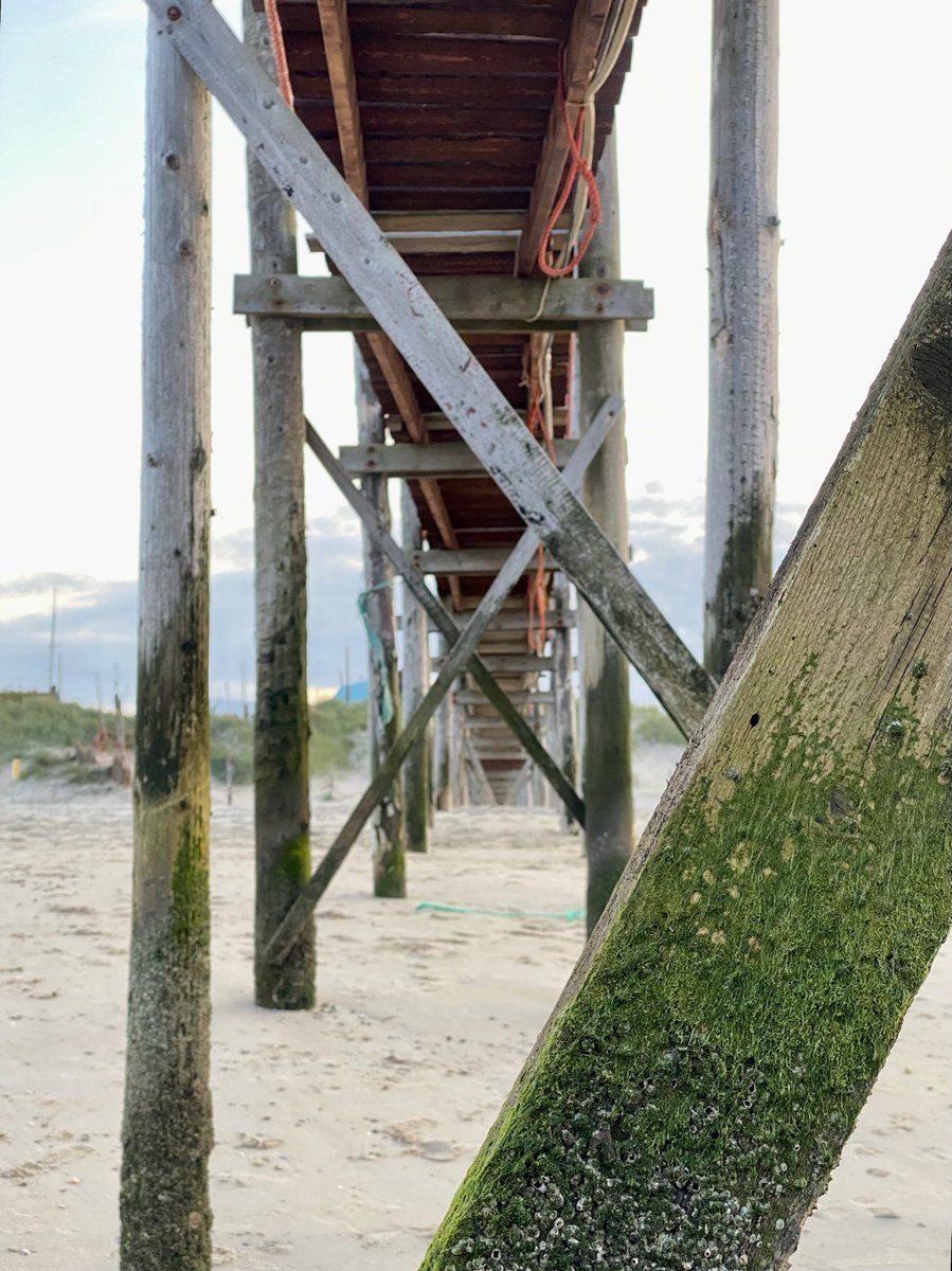 LisetteOpTexel's tweet photo. ~ Snel’weg’ naar Vlieland ~
#Texel #theNetherlands #scaffold #steiger #deVriendschap #boat to @vvvvlieland #netherlands #bruggen @dthta57 #beau_gustus #fotozomerweken @BBC_Travel @timestravel @travelchannel @ThePhotoHour https://t.co/YFxbpmxDem