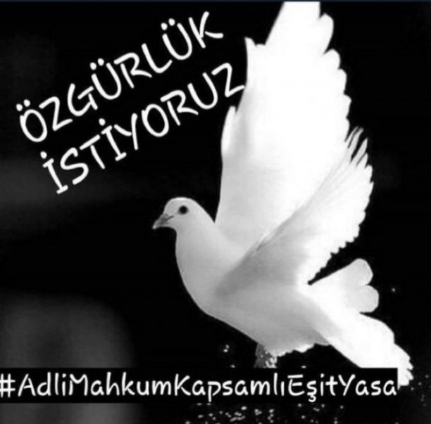 Zerrin03683123's tweet photo. YargıEnkazı AdliMahkumlar
#GenelAf

Tüm Adli Mahkumlara Ayrımsız Eşit Adil 💯 YILDA 22 Yıldır Verilmeyen Hep Beklenen Covid Affı Gibi Kısmi Yarım Değil,Kimsenin Hala Çözemediği AF Değil Milyonlar İçin Bir GENEL AF VE ADLİ SİCİL AFFI Çıkmalıdır Biran Önce

BirlikteAffedin Tükendik https://t.co/R7QtZKqJNp