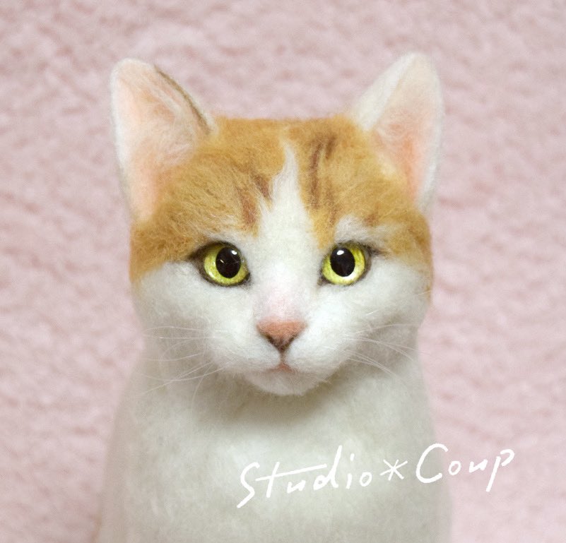 studio_coup's tweet photo. 茶白猫さんを
作らせていただきました☺️
#羊毛フェルト #ニードルフェルト #handcraft #白猫 #felt #feltingneedle #felting #子猫 #ねこ #羊毛猫 #ココナラ
#catsofinstagram #catphotography #meoued #dailykitten #catstagram #cat #catlovers #catractive #cats_of_world #catscatscats https://t.co/wZwKsuVGfN