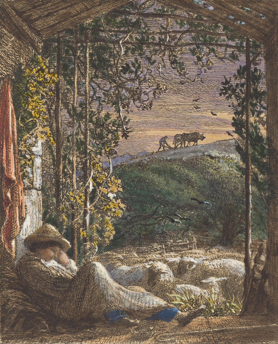 The Sleeping Shepherd; Early Morning 1857 #SamuelPalmer