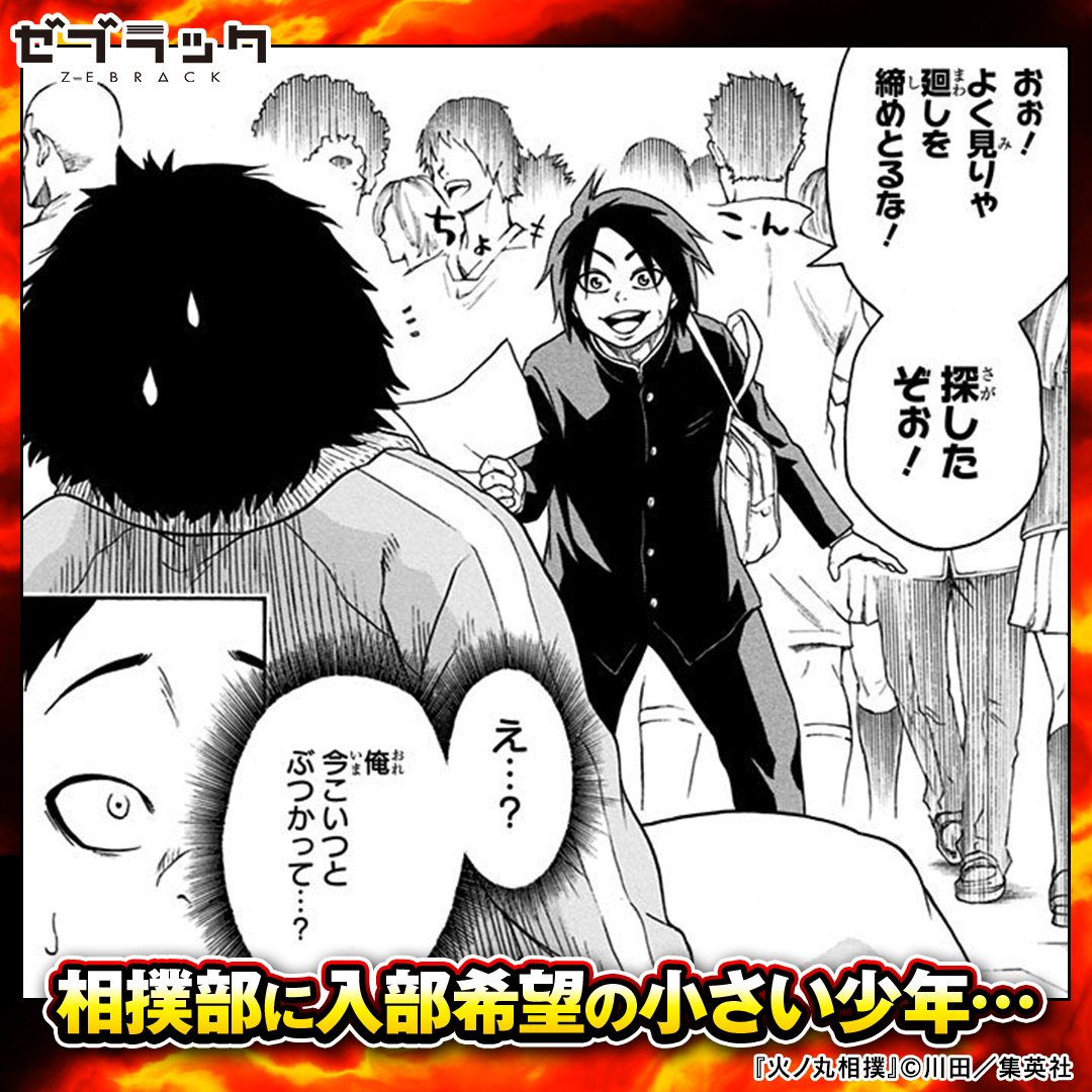 zebrack_comic's tweet photo. 身長に恵まれなかった“小さき”少年が横綱を目指す話
