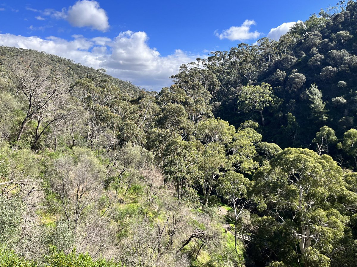 Morialta Falls, Adelaide Hills, really beautiful scenery