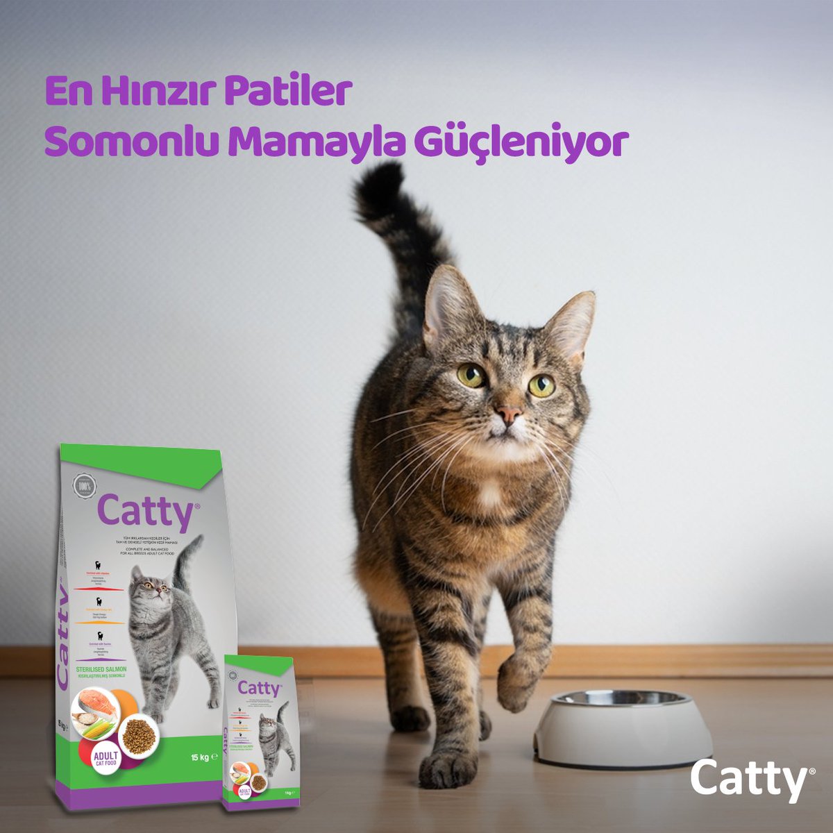 CattyCatFood's tweet photo. Kısırlaştırılmış kediler için özel olarak formüle edilen somonlu içeriği ile tam ve dengeli Kuru Yetişkin Kedi Maması, tatlı patilerin vazgeçilmezi oluyor.

#Catty #Kedi #KediMaması #YavruKedi #YavruKediMaması #Cat #CatFood #CatLovers https://t.co/jdB5qAXWHm