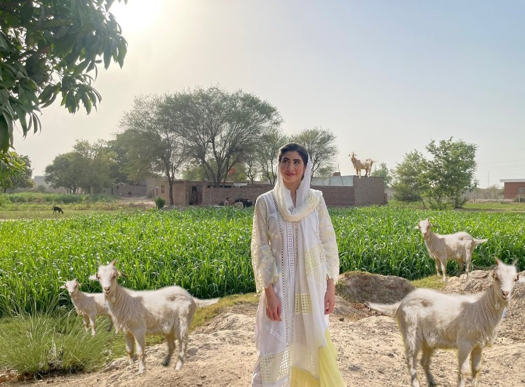 Fatima PTI tweet media