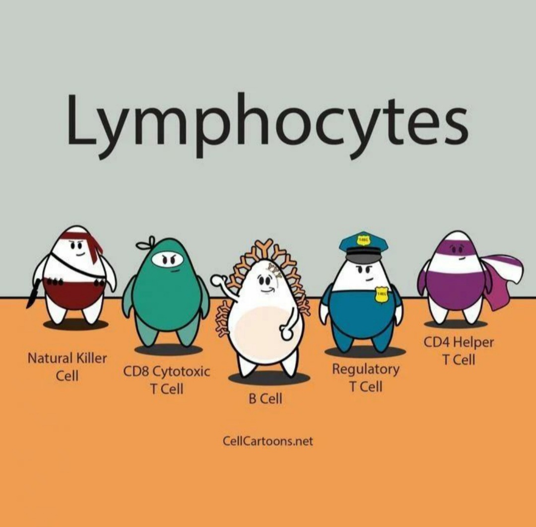 ذهنیات ما ایمونولوژیستای خلاق 😋
#immunoligist