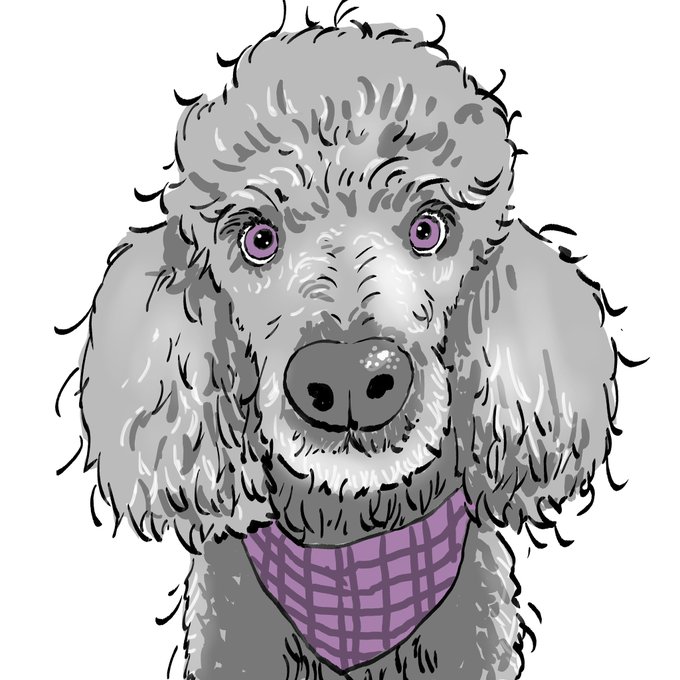 「purple eyes purple scarf」 illustration images(Latest)
