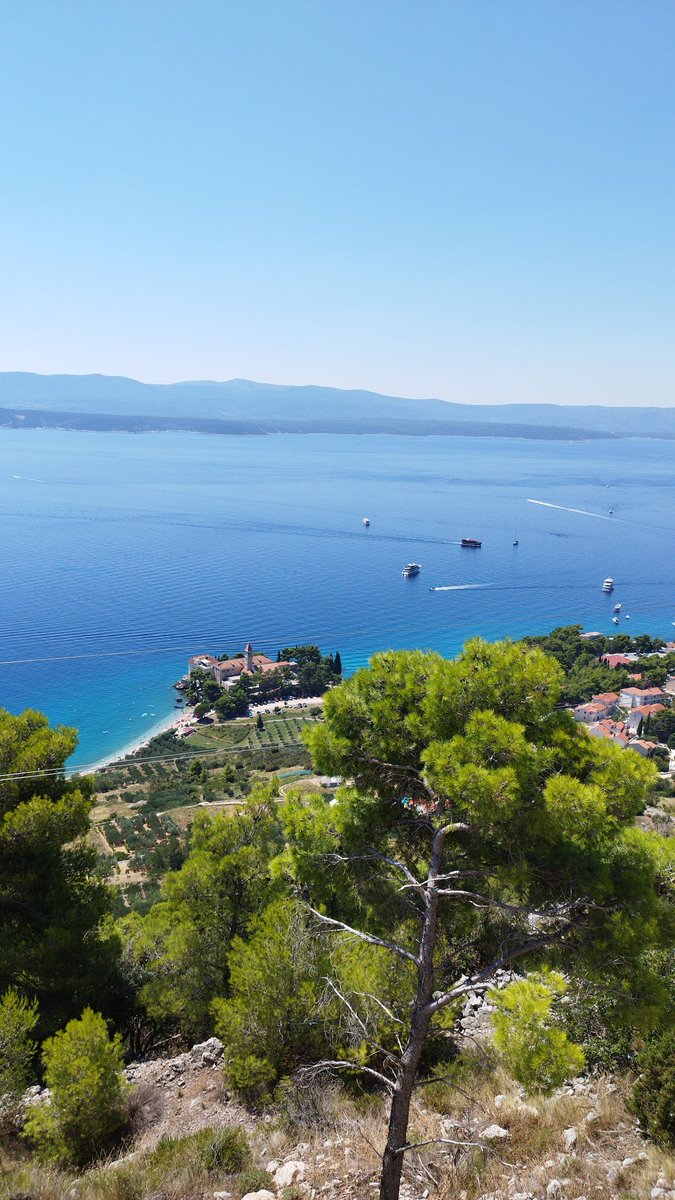 DJGIGO's tweet image. That view.. 🧘
#croatia #dalmatia #brac