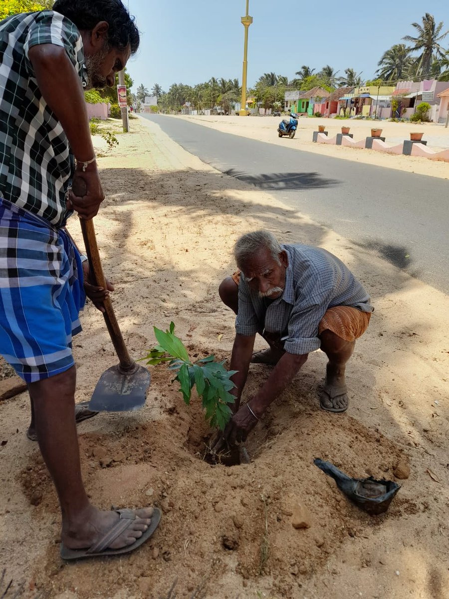 NYK_Kanyakumari's tweet photo. Sapling plantation as a part of #MeriMaatiMeraDesh Campaign held at Kesavanputhenthurai Gram Panchayat in Kanyakumari district.
#MaatiKoNaman #Veeronkavandan #SaplingPlantation #Pledgetaking #PanchPranPledge
@ianuragthakur @Nyksindia
@NYKSTamilnadu
@YASMinistry https://t.co/9DG6qNKCqW