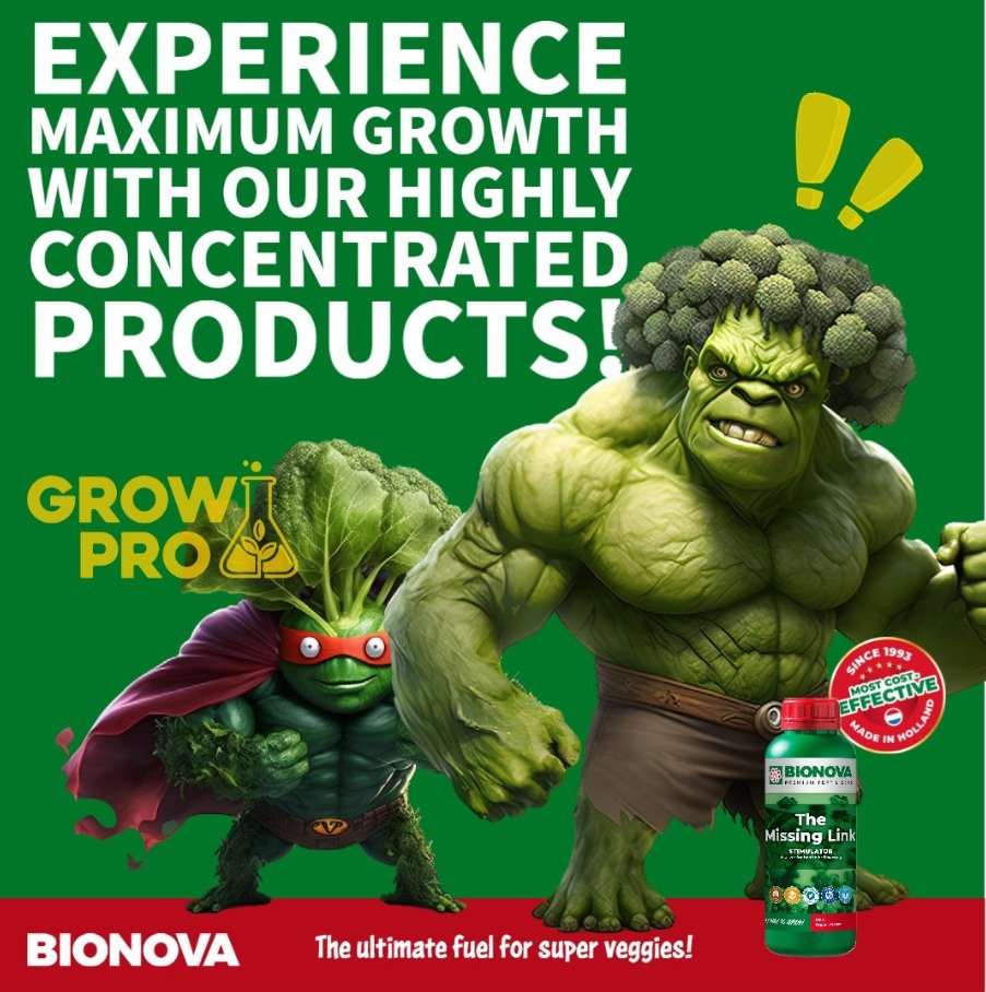 GrowPro Africa tweet media