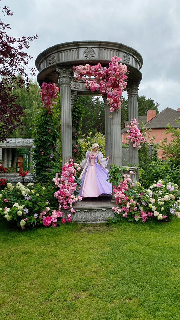 Хищная птичка 🦩 tweet media