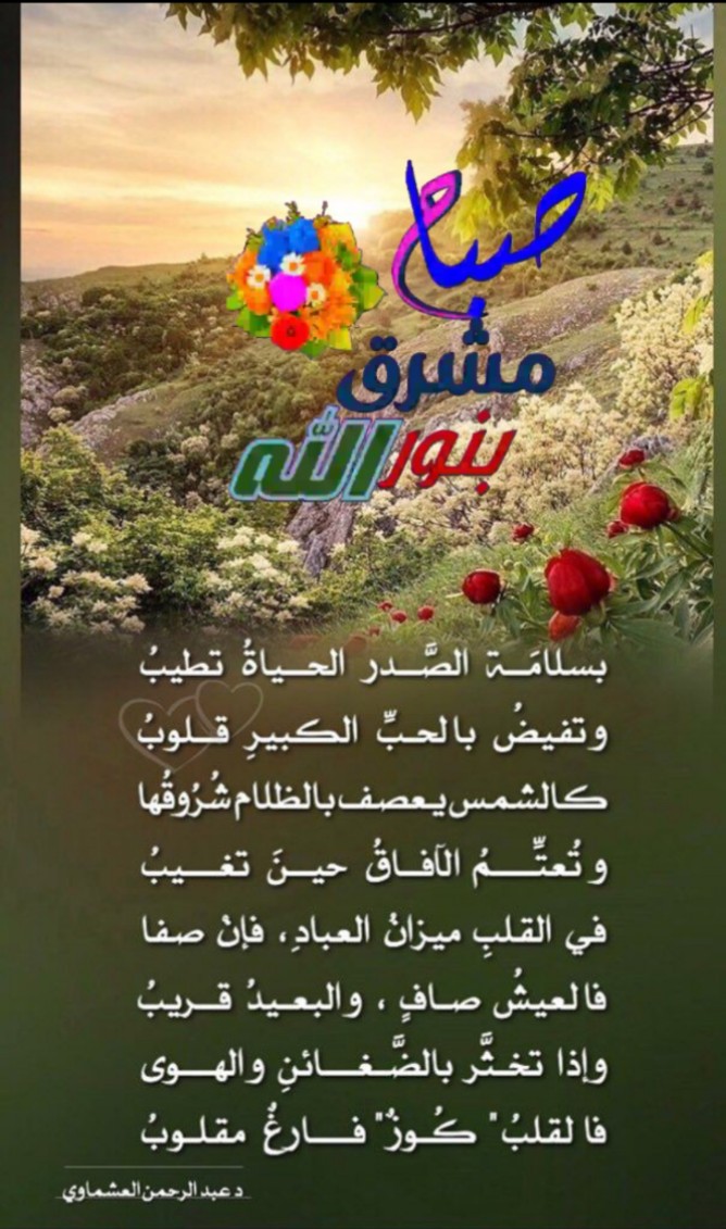 🌹ورد 🌹 tweet media