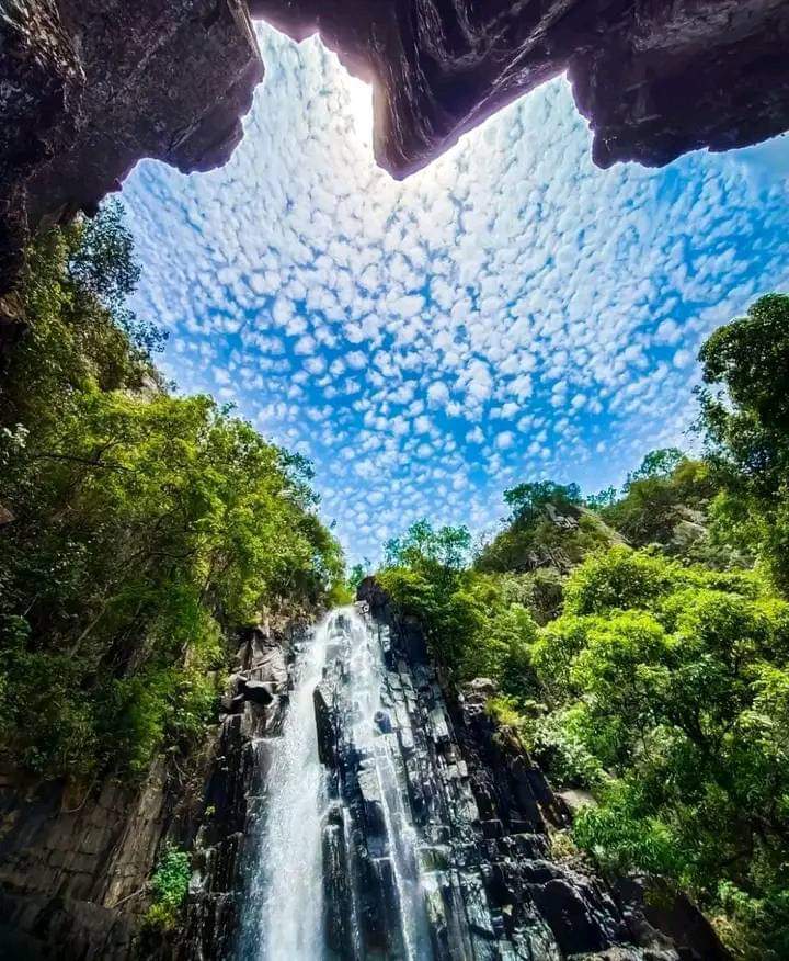 प्रकृति में कोई वाई-फाई नही होता हैं पर
इसका कनेक्शन दिल से बहुत मजबूत बनता हैं..
                     जोहार जिंदगी 💚
                      जोहार प्रकृति 🌿