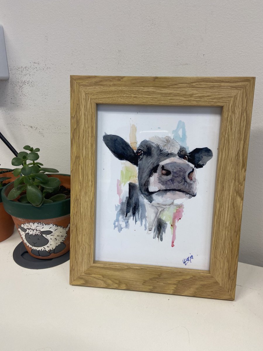 Alice Curwen tweet media