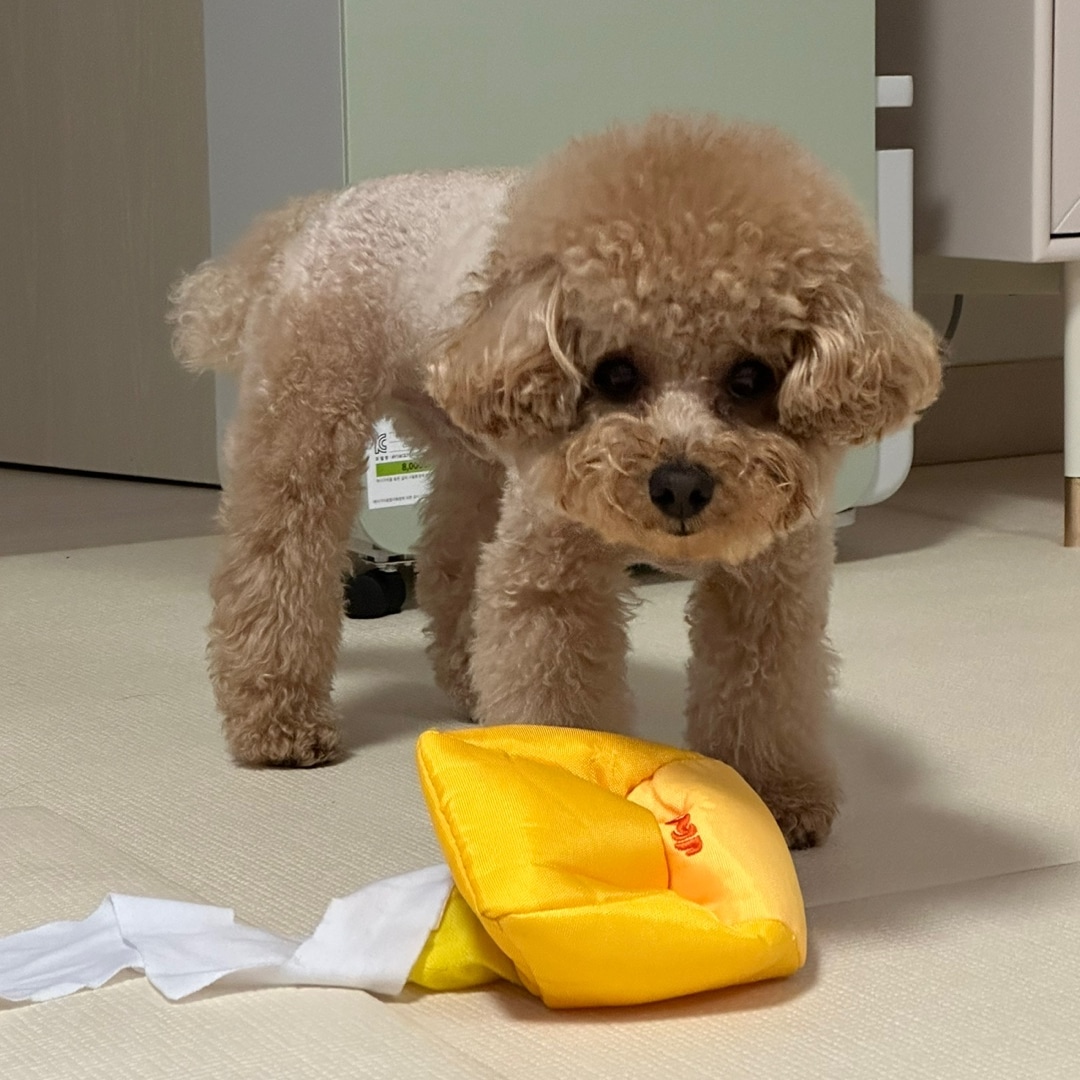 담벼락옆박대리 (@parkche1017) on Twitter photo 