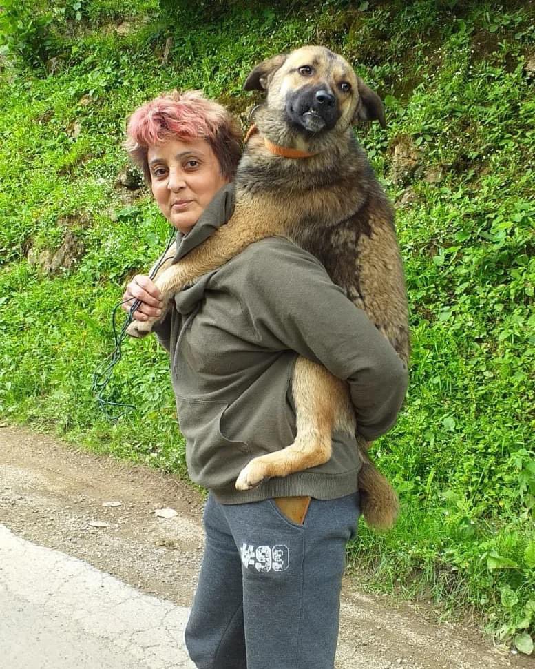 Son nefesine kadar hayvan hakkı savunan. “Can verir canlarımı vermem” diyerek, takdire şayan bir mücadeleyle kurumların karşısında kanunla dimdik duran, Giresun temsilcimiz HÜLYA KESKİN’in vefatını derin bir üzüntüyle öğrendik. Allah rahmet eylesin. Mekanı Cennet, Ruhu Şad Olsun.