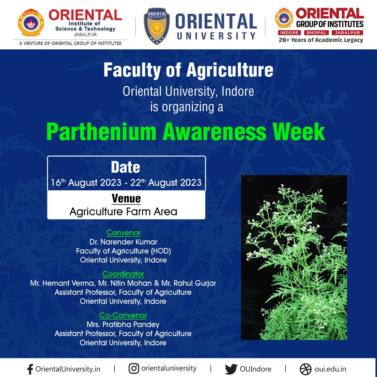 OUIndore's tweet photo. Faculty of Agriculture, Oriental University, Indore, is organising 'Parthenium Awareness Week' from 16th August to 22nd August 2023.
#OrientalUniversity #OUIndore #Orientaluniversityindore #MadhyaPradesh #BestUniversity #QualityEducation #DreamBig #Agriculture https://t.co/xReXsoMpRv