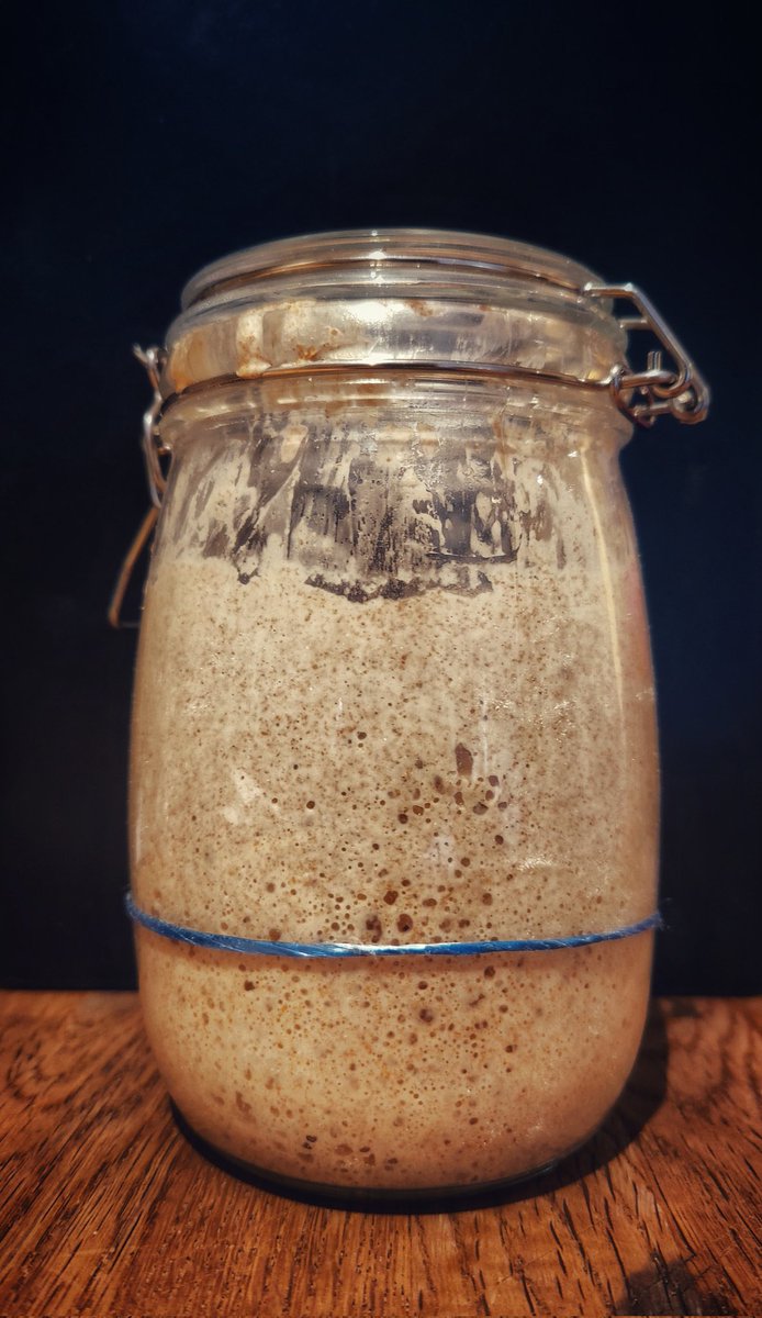 Happy starter. Ready for today's sourdough bread. I use a no discard process to reduce food waste for my starter.

#ShareYourLoaves #artisanbaker #artisanbread #bakeyourownbread #davebakesbread #bread #breadbaker #breadmaking #realbread #RealBreadCampaign #sourdough