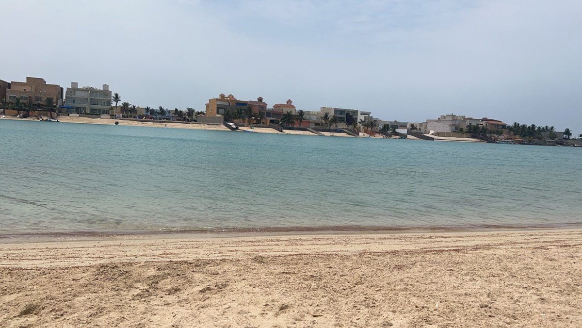 certifylovrboy's tweet photo. 🌊🐚🧑🏾‍🦱 https://t.co/fgsleZySAX