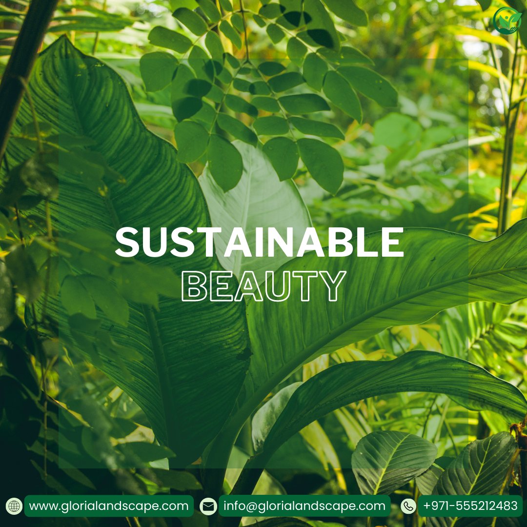 Gloriascape's tweet photo. 🌿🌍Green choices for a greener future.

Contact us at info@glorialandscape.com or call us at 
📞 055 521 2483  https://t.co/5C8DtFsMfO 

💦😌 #WaterFeatures 
#GreenUAE #SustainableLandscapes
#OutdoorSerenity https://t.co/daynBzEQPc