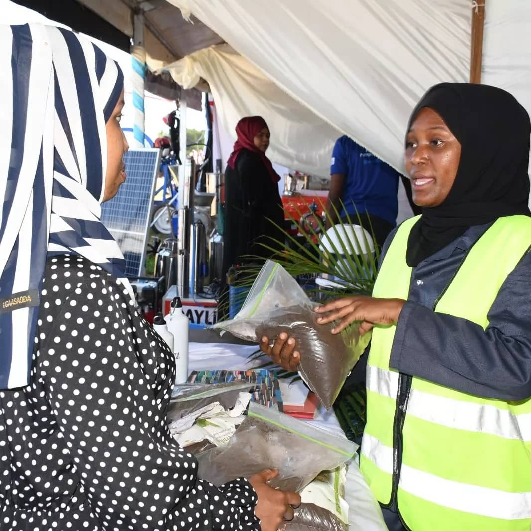 NyandaPN's tweet photo. 🌍 In celebration of International Youth Day, innovators from #WasteXLab, a collaboration between @UNDPAccLabsTZ, @UNICEFinnovate , & @StateSuza showcased groundbreaking products like bio-briquettes, eco-friendly paving blocks, and organic fertilizers. The future is green! https://t.co/7Bs9t8W37u