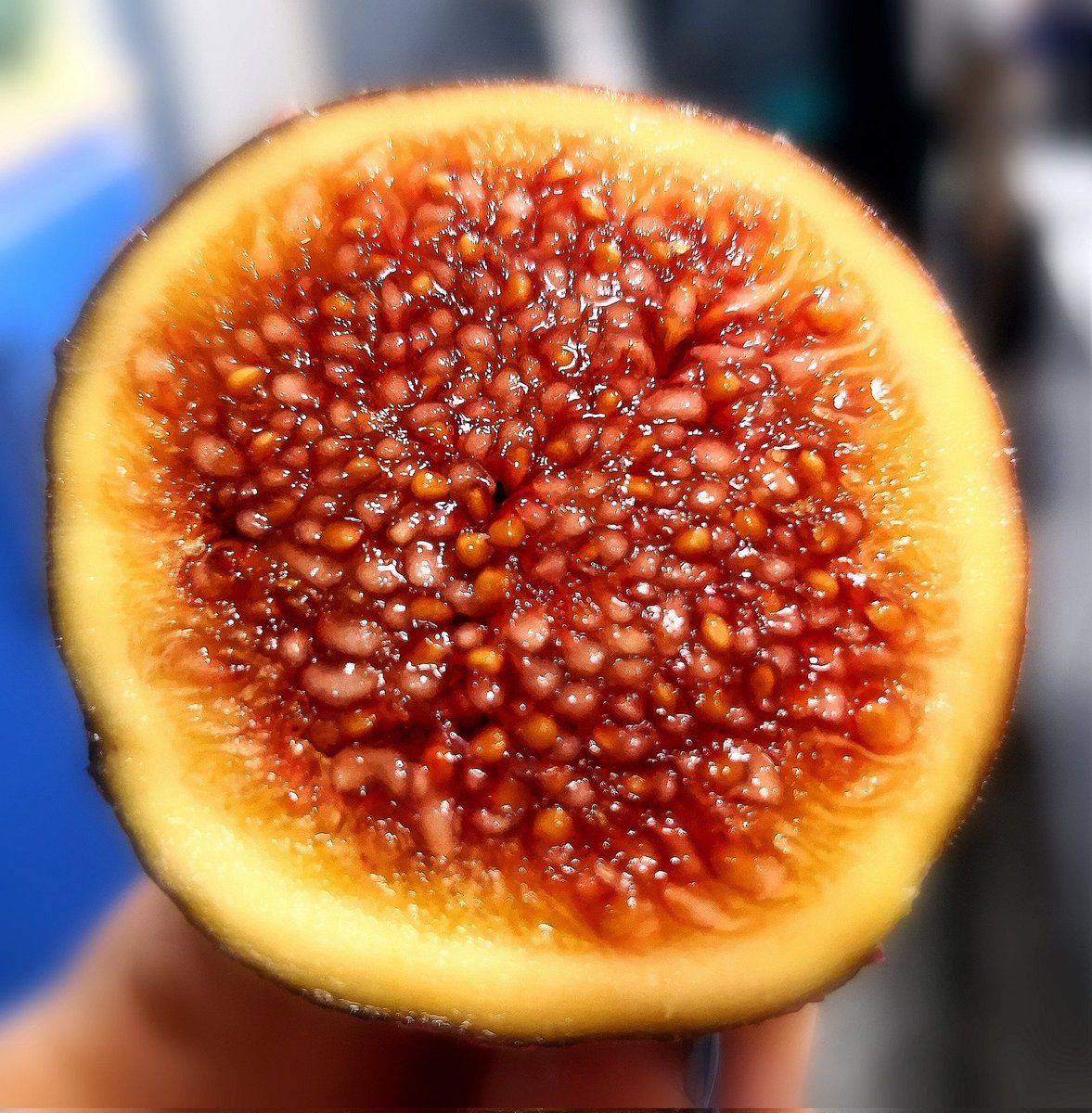 انجیر در بخش پاتولوژی آزمایشگاه 😏