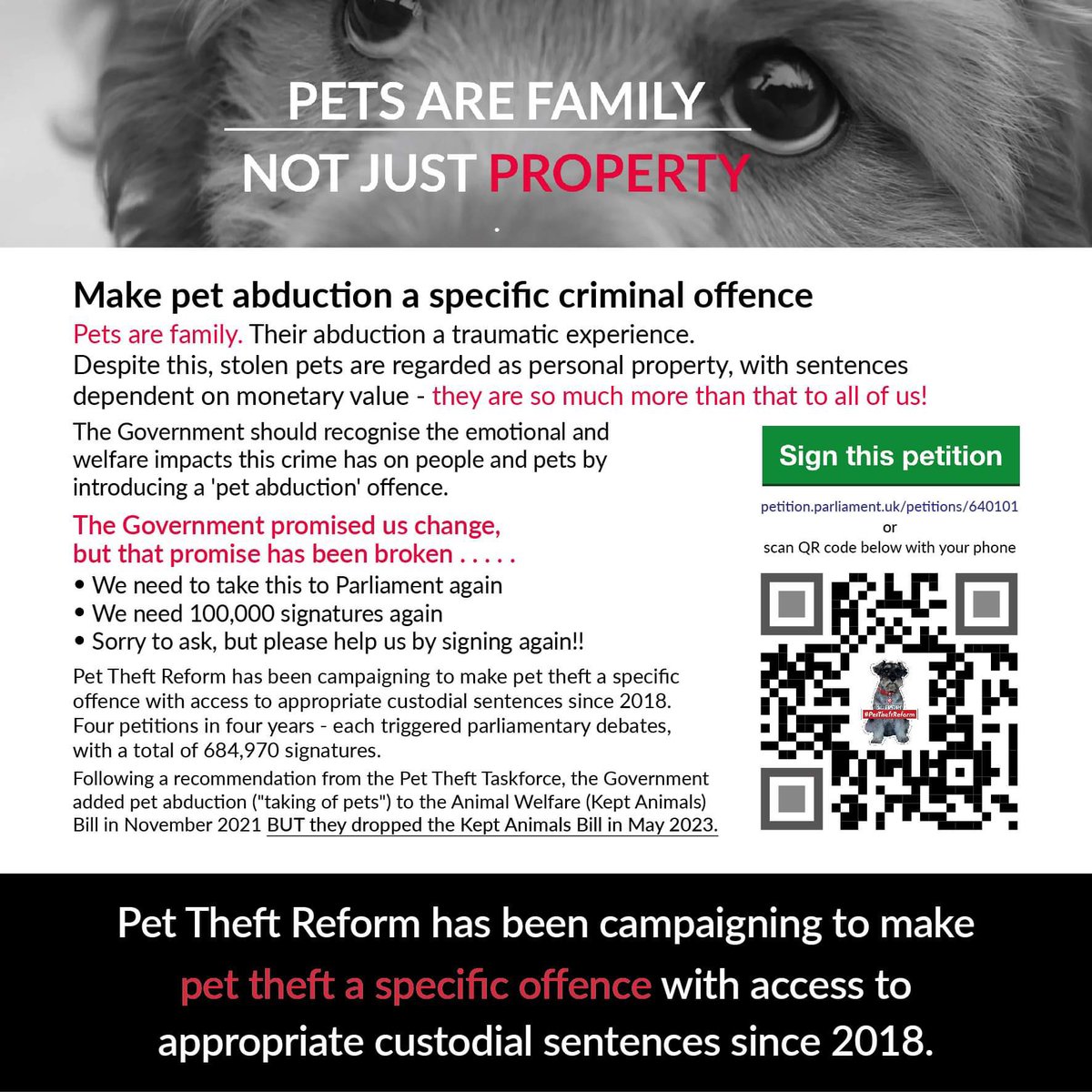 Stolen&Missing Pets tweet media