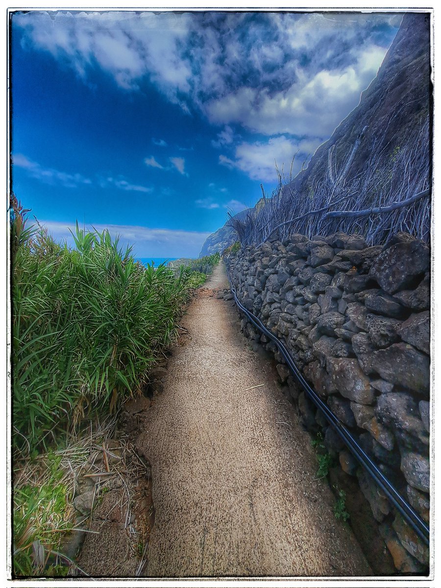 GM 🌞
'Kindred spirits can always find their way to each other...'

#mojefoto #photographylovers #travelphotography #madeira