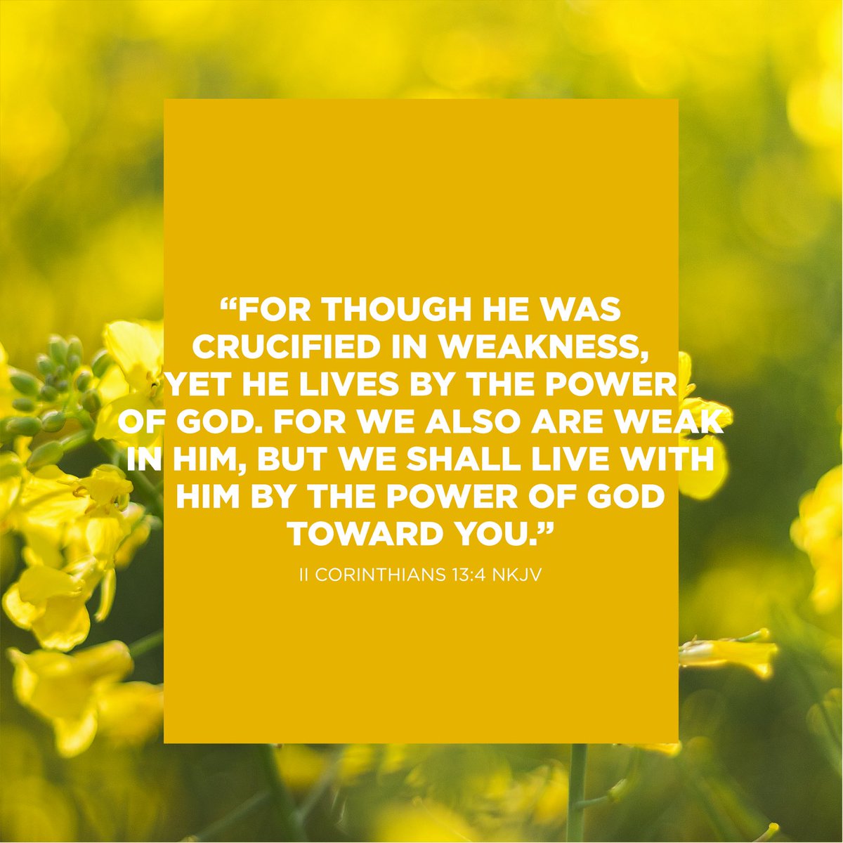 My3C_'s tweet photo. “For though He was crucified in weakness, yet He lives by the power of God. For we also are weak in Him, but we shall live with Him by the power of God toward you.” II Corinthians 13:4 NKJV #needingnothing https://t.co/juA62xZG1u