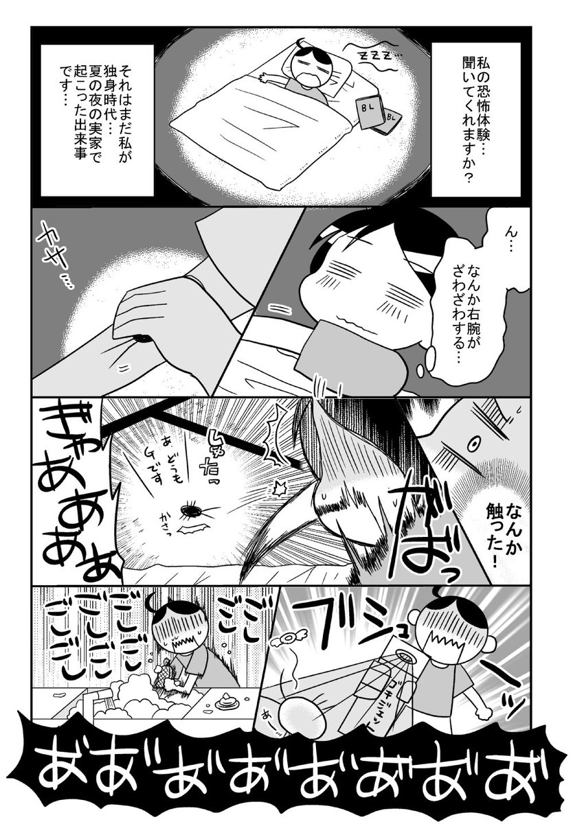 (虫注意)真夏の夜の恐怖体験