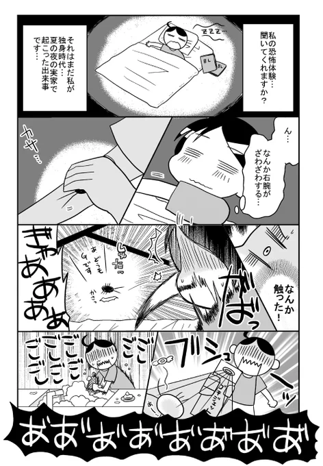 (虫注意)真夏の夜の恐怖体験