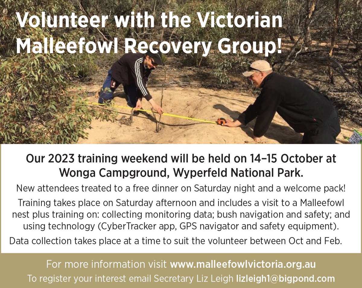 Want to make a difference to our #ThreatenedSpecies? Love #BirdsOfAustralia & #CitizenScience? 

Become a #Malleefowl monitor with the Victorian Malleefowl Recovery Group!⭐️

I’ve been involved for the last ~5 yrs & absolutely love it!🪶@malleefowlaus #SavingMalleefowl #WildOz