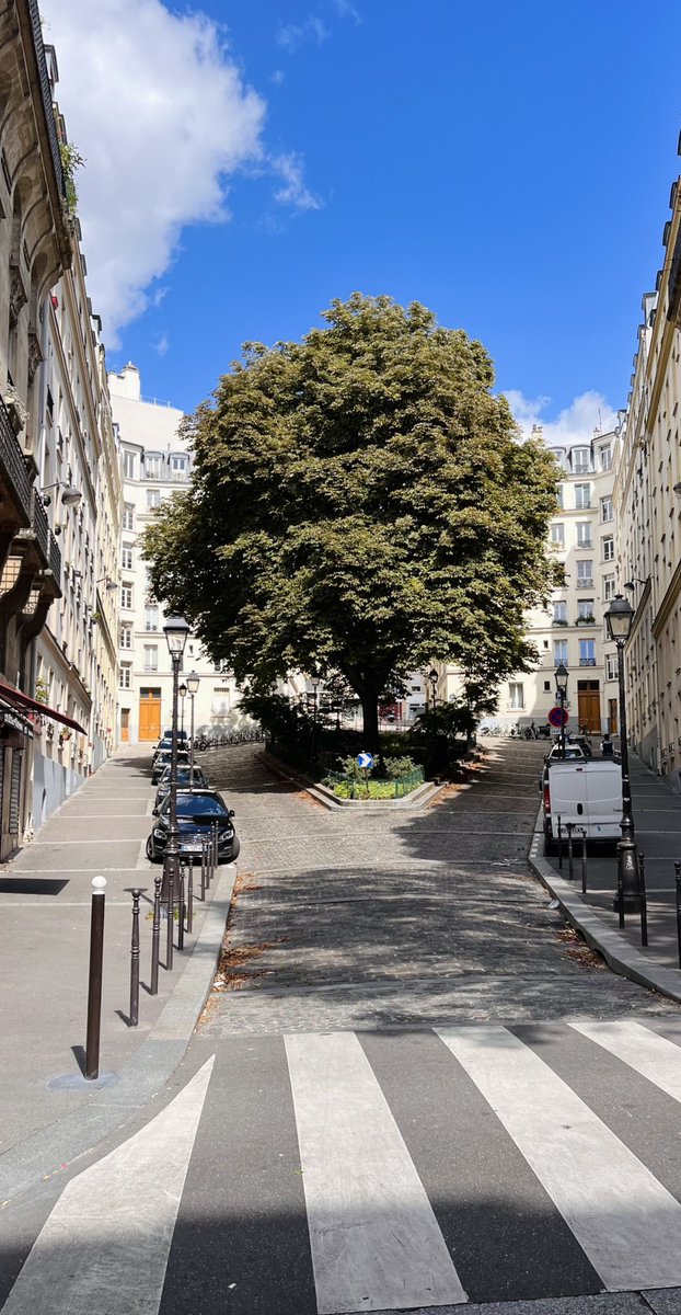 I often pass this street in Paris and think it’s a worthy #treeoftheday ? <a href="/campbellclaret/">ALASTAIR CAMPBELL</a>