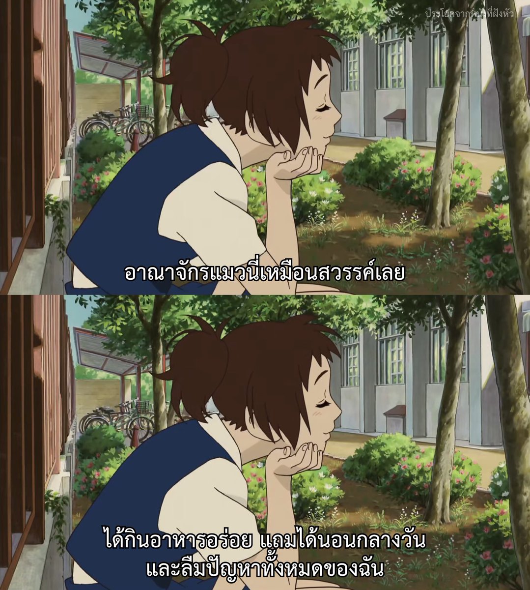 🔥 [50+] Evil Cheshire Cat Wallpapers | WallpaperSafari, image size:1079x1200