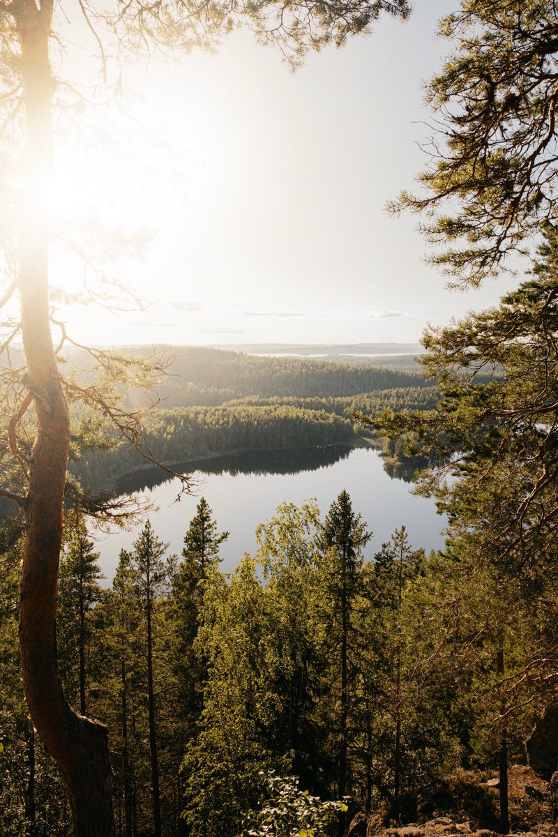 monnihimari's tweet photo. #SalpausselkäGeopark on ehdolla Vuoden kotimaiseksi vierailukohteeksi / nähtävyydeksi #FinnishTravelGala’ssa. 

Oli ilo ja kunnia olla mukana dokumentoimassa ja edistämässä kohteen tunnettuutta suomalaisten matkailijoiden keskuudessa Salpausselkä Geopark näkyväksi -hankkeessa. 💚 https://t.co/EBUQY8MxBf