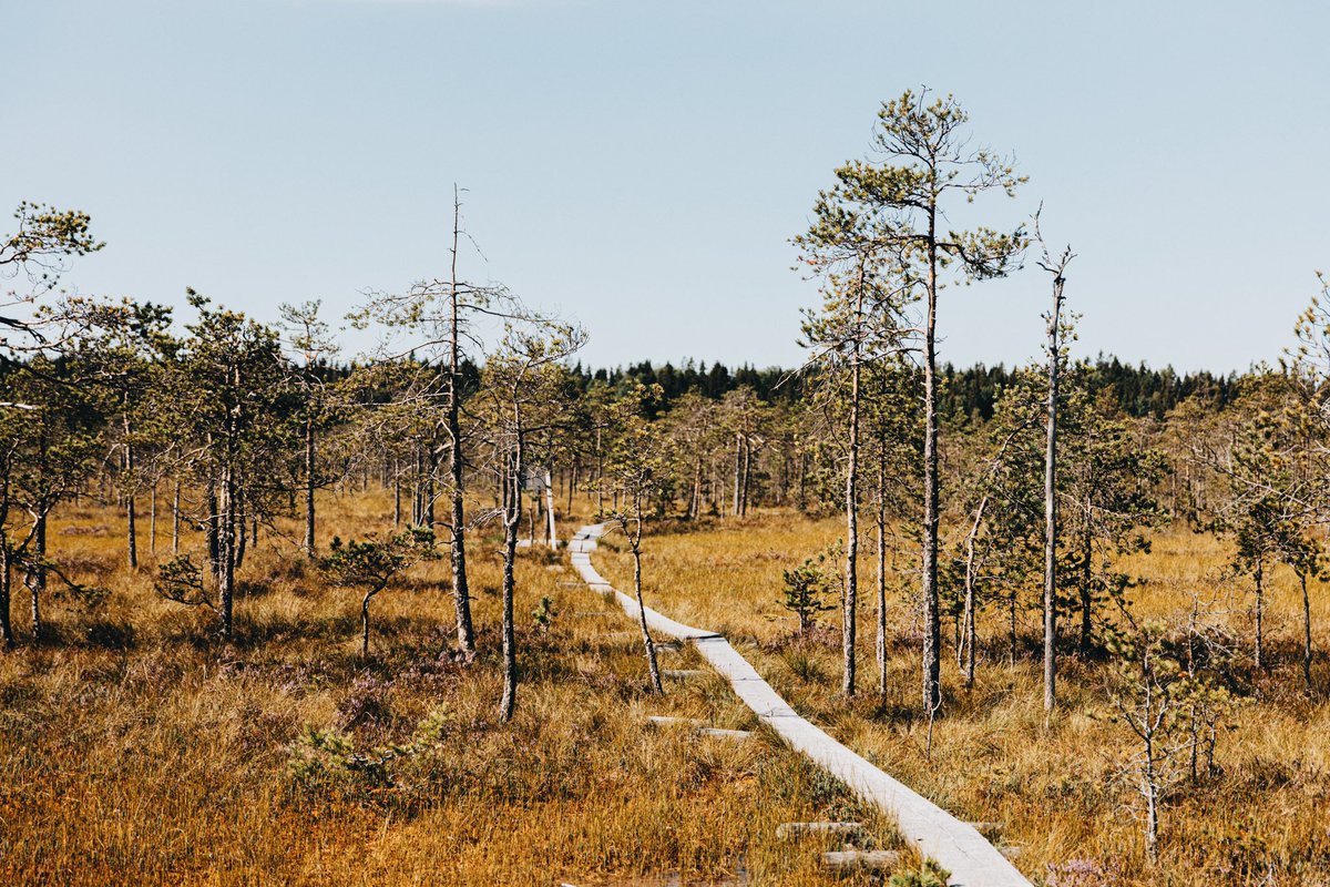 monnihimari's tweet photo. #SalpausselkäGeopark on ehdolla Vuoden kotimaiseksi vierailukohteeksi / nähtävyydeksi #FinnishTravelGala’ssa. 

Oli ilo ja kunnia olla mukana dokumentoimassa ja edistämässä kohteen tunnettuutta suomalaisten matkailijoiden keskuudessa Salpausselkä Geopark näkyväksi -hankkeessa. 💚 https://t.co/EBUQY8MxBf